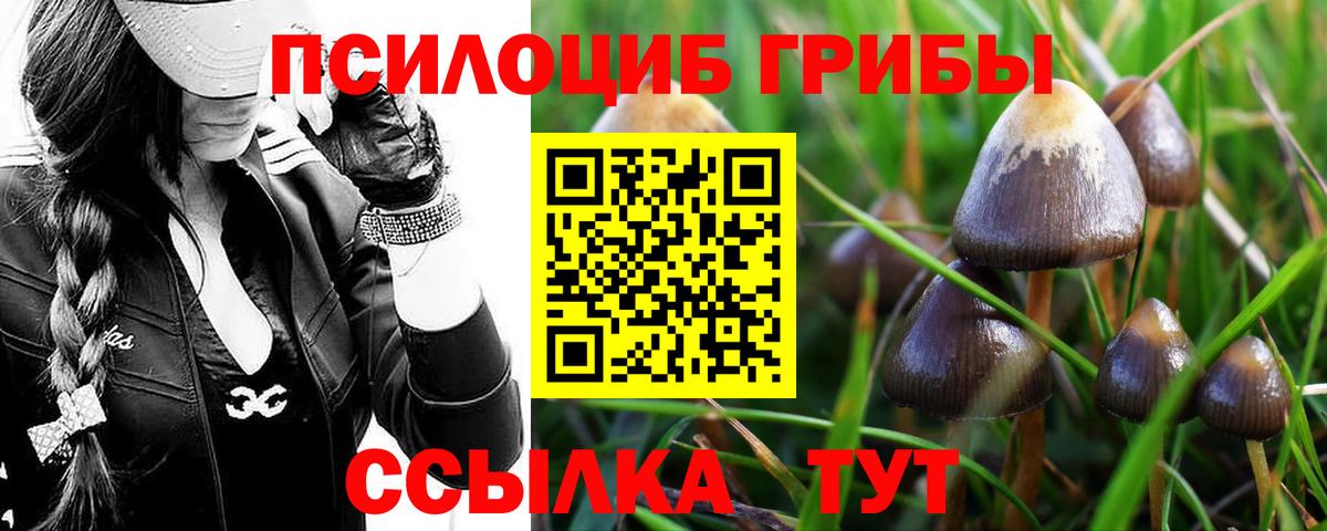 Великий Новгород  Галлюциногенные грибы Psilocybe  Псилоцибиновые грибы MAGIC MUSHROOMS  Вход с VPN 
