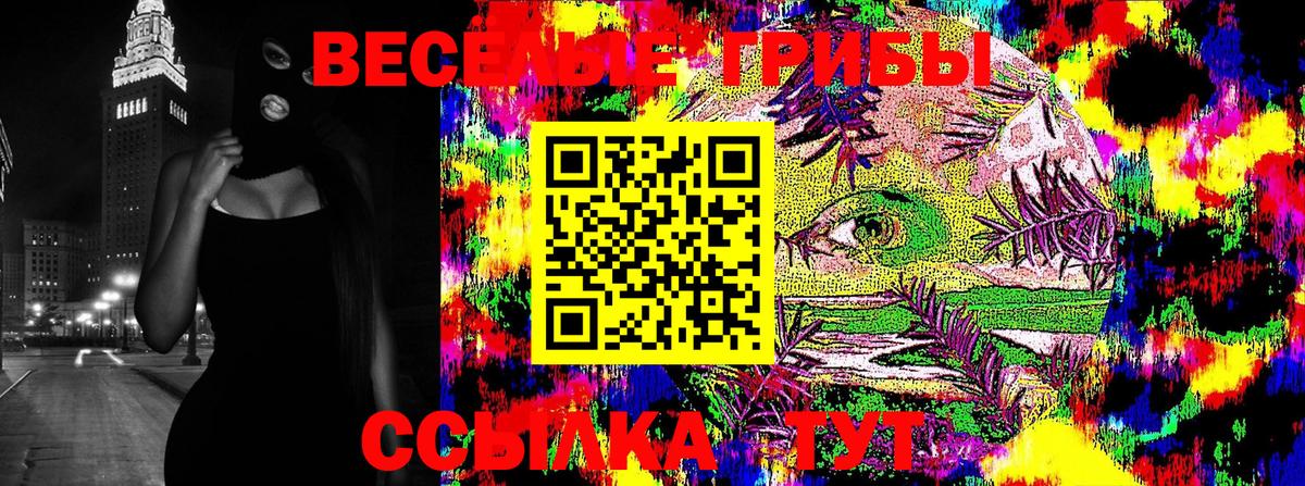 Псилоцибиновые грибы GOLDEN TEACHER Великий Новгород